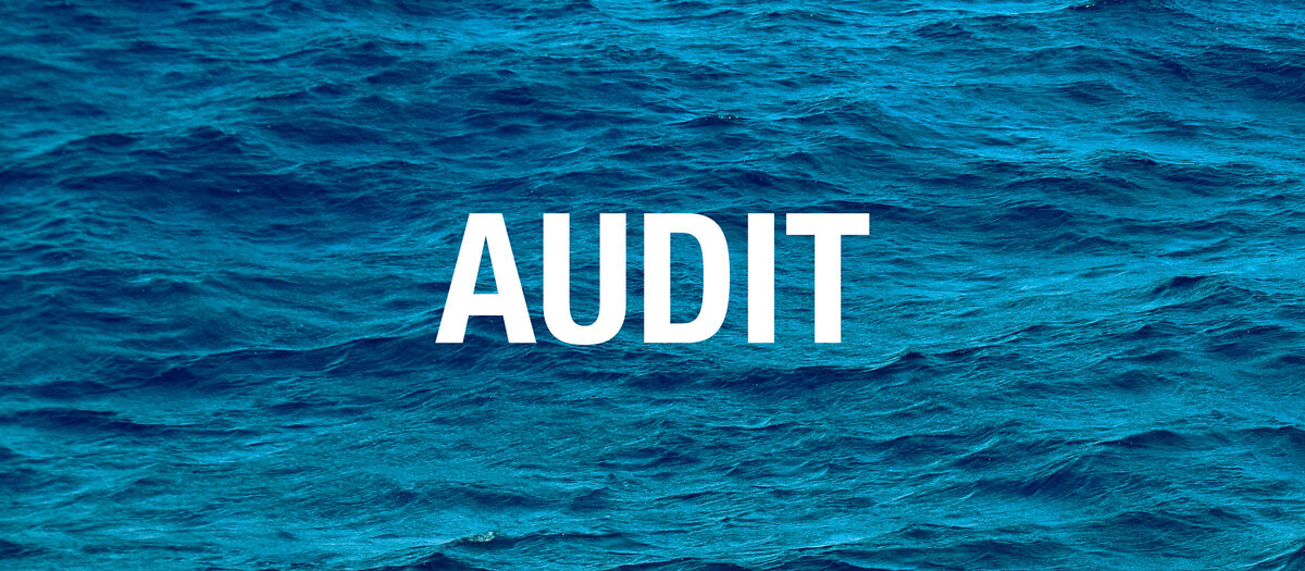 Audit