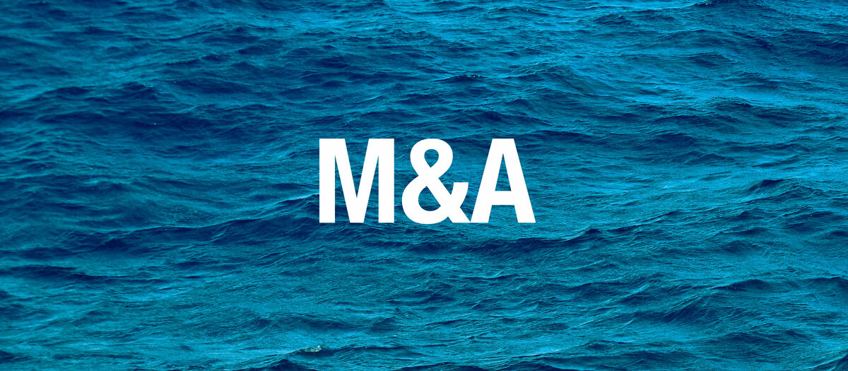 M&A + Unternehmensnachfolge