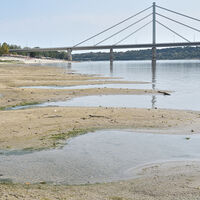 Ausgetrocknetes Flussbett
