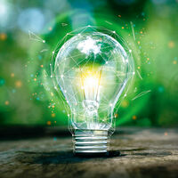 Green Bulb