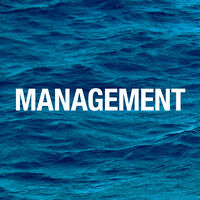 Management Consulting + Business Development