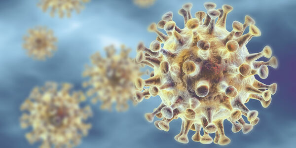 Coronavirus