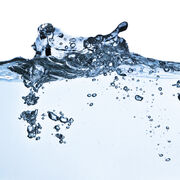 Wasser